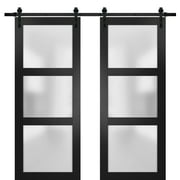 Sturdy Double Barn Door with Frosted Glass | Lucia 2552 Matte Black | Sample of Door Color