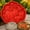Pumpkin, variant on Reusable Sunflower Stepping Stone Mold, Large 15.7inch Cement Mould | Garden Walkway Path Stones,Paver Form with 3D Daisy Design, Outdoor Yard Decor Paintable Kit