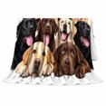 thumbnail image 2 of Happy Labrador Retrievers Group Portrait Autumn Sofa Friendly, Cozy Pet Portrait Pattern, Warm Flannel Blanket for Living Room and Bedroom, Dog Lovers Thanksgiving Gift, Pet Lover Home Decor, 2 of 9