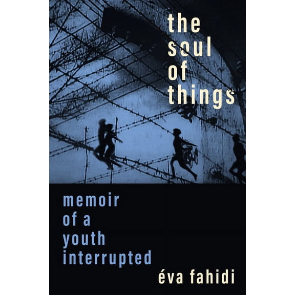 The Soul of Things: Memoir of a Youth Interrupted, (Paperback)