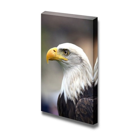 Canvas Prints Wall Art - A Beautiful American White-Headed Eagle - 18" x 12"