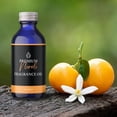 thumbnail image 2 of Neroli Fragrance Oil, 2 of 4