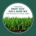 thumbnail image 4 of Pennington Smart Seed Sun & Shade Southern Lawn Grass Seed Mix, for Sun to Partial Shade, 3 lb., 4 of 19