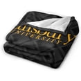 thumbnail image 2 of Salisbury- University Ultra-Soft Micro Fleece Blanket Soft Comfortable Flannel Blanket Available for Bed Couch Living Room, 2 of 8