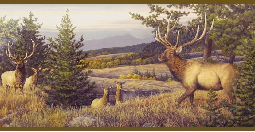 878461 Elk Mountain Wallpaper Border HTM48491b