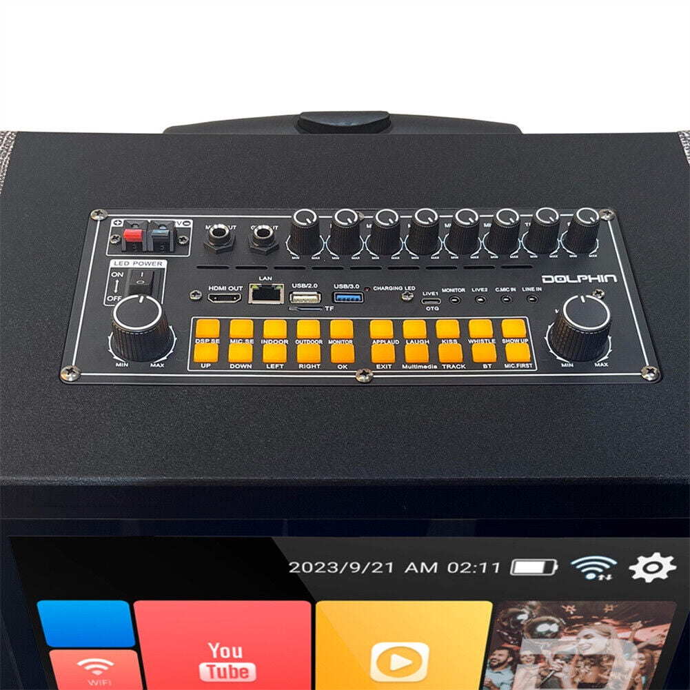 4000W Dual 10" Woofers 14.1'' Touchsreen Karaoke Machine Portable Bluetooth Speaker 2 Wireless Mic