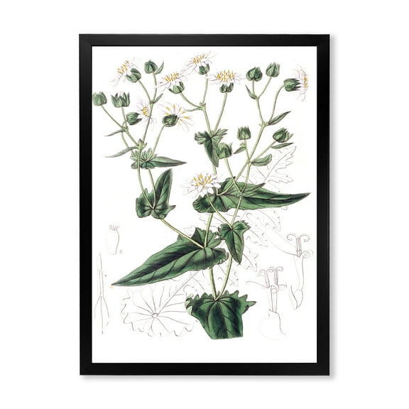 Designart 'Ancient Plant Life XXII' Traditional Framed Art Print
