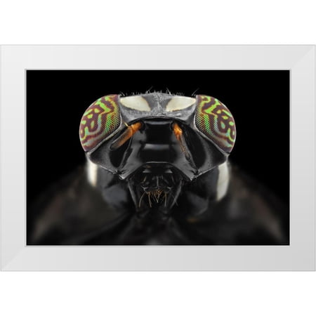 Jusa Donald 14×11 White Modern Wood Framed Museum Art Print Titled – The Darth Vader