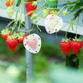 thumbnail image 4 of Shuliwen 5 Heart Fruit Mold Tomato Strawberry Shape Vegetable Garden Tool 4cm, 4 of 10