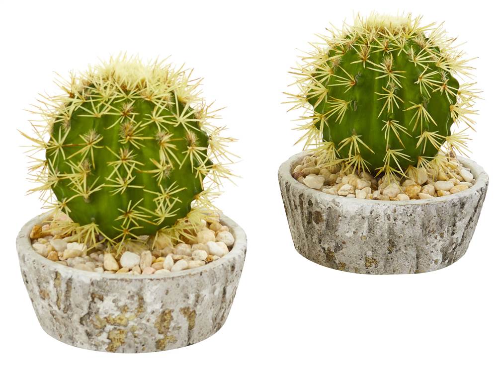 Nearly Natural 7? Cactus Artificial Plant in Weathered Planter (Set of