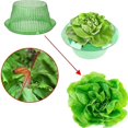 thumbnail image 5 of 6pcs Vegetable Slug Protection Covers - Plant Snail Collar Guard For Garden, 5 of 5