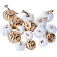 thumbnail image 1 of Package of 16 Pcs Assorted Fall Artificial Pumpkins Harvest White Pumpkins and Gold Plating Pumpkins for Halloween Fall Thanksgiving Decorating Displaying - -, 1 of 6