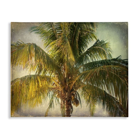 Stupell Industries Bohemian Tropical Summer Palm Tree Canvas Art, 20 x 16, by Ashley Calhoun