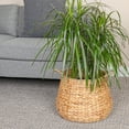 thumbnail image 3 of Household Essentials Round Handwoven Water Hyacinth and Seagrass Basket with Handles, Natural, 3 of 6