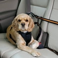 thumbnail image 6 of Kurgo Auto Zipline for Dogs, Adjustable Dog Safety Belt Leash, Pet Seat Belt Tether, Reduce Distracted Driving, Includes Dog Leash & Carabiner Clips, 6 feet, 6 of 9