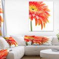 thumbnail image 1 of Orange Gerbera on White Background - Floral Canvas Art Print, 1 of 3