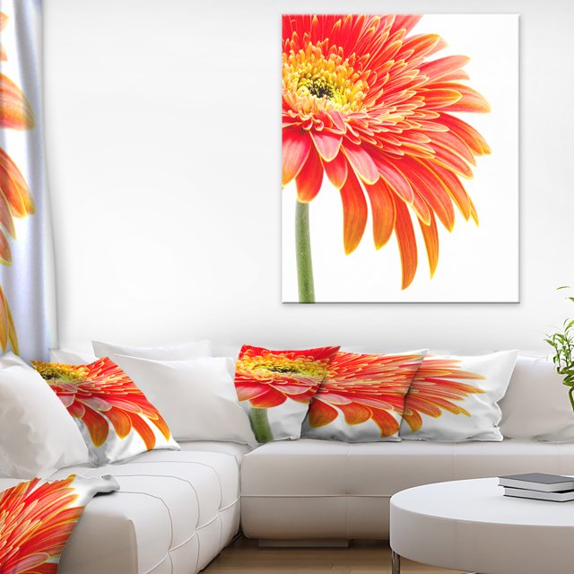 Orange Gerbera on White Background - Floral Canvas Art Print