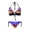 Sunset Coconut Tree Silhouette Print, variant on Chririnla Tropical Gradient Palm Tree Halter Bikini Set - Sexy Two-Piece Triangle Swimsuit for Beach Vacation & Pool Party | Quick Dry, Figure Hugging Design