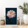 thumbnail image 3 of IDEA4WALL Framed Canvas Art Wall Decor A Pink Chinese Peony with Black Background Floral Flower Photography Realism Romantics Closeup Relax/Calm for Dorm Home Office - 24"x36", 3 of 4