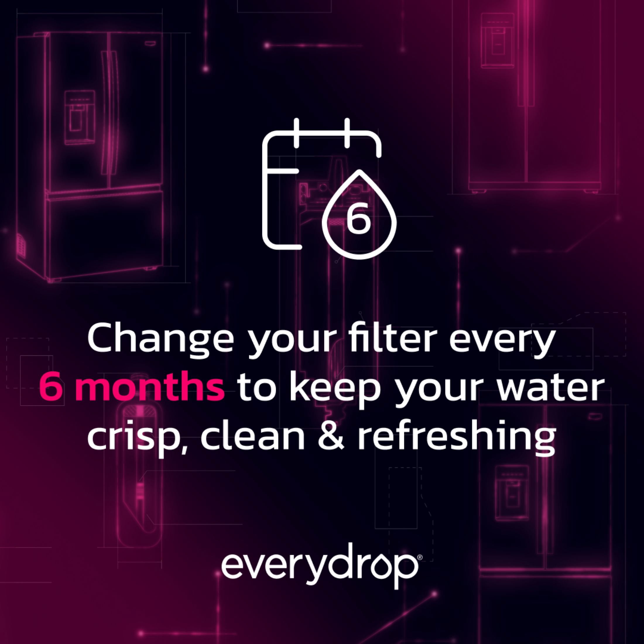 everydrop by Whirlpool Ice and Water Refrigerator Filter 5, EDR5RXD1, Single-Pack