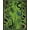 Green, Pattern 1, variant on ODIKA 4'x6' Machine Washable Non-Slip Area Rug, Retro Gothic Snake and Tropical Leaf with Boho High Traffic Rug, Green, 89568