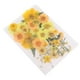 thumbnail image 5 of Flores Secas Prensadas Naturales perfecl 34-40pcs DIY, 5 of 7