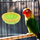thumbnail image 4 of ADDHAT Nido De Tejido Para Pájaros Con Resistente Ideal Para Interior Y Exterior, 4 of 7