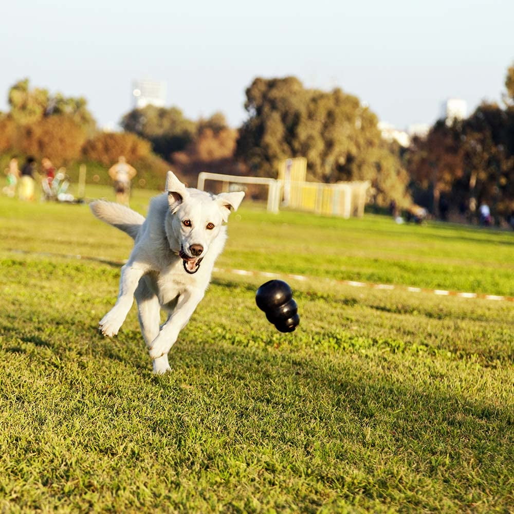 Kong Easy Treat Stuff Dog Toy Fill 3 Flavors (1) Each: Pepperoni, Liver, Peanut Butter (8 Ounces) | MerlinsMart Zine