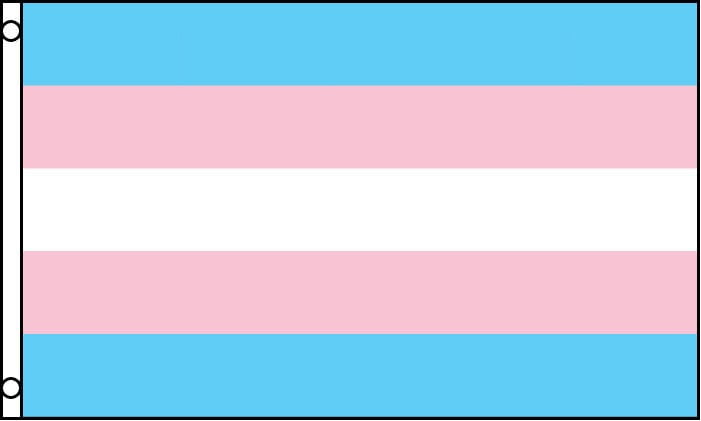 Lipstick Lesbian Flag 2x3ft Lesbian Flag Femme Lesbian Pride LGBT LGBTQIA 