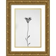 thumbnail image 1 of Lagandre, Thierry 17x24 Gold Ornate Wood Framed with Double Matting Museum Art Print Titled - Daisy, 1 of 4