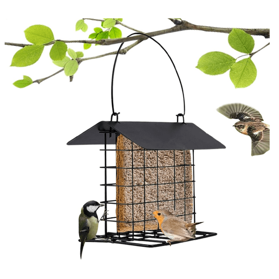 Chanana Suet Block Feeder | Suet Feeders for Outside Hanging, Squirrel Proof Metal Suets Cake Holder, Weatherproof Feeding Station, Cage Bird Feeder for Wild Birds Woodpecker