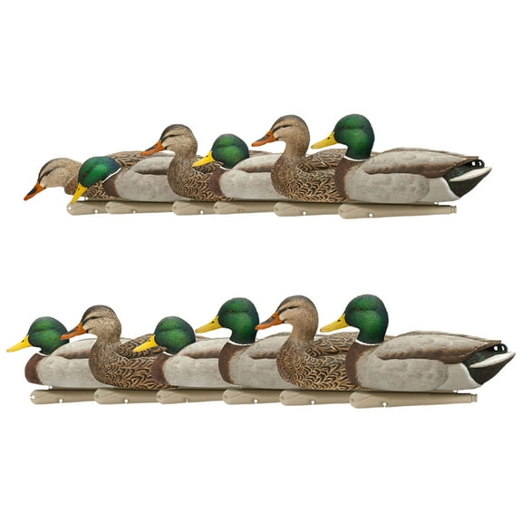Avian X Topflight Fusion Mallards and Top Flight Open Water Mallards Decoys