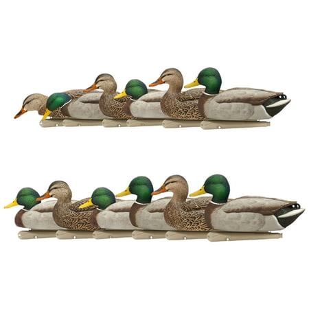 Avian X Topflight Fusion Mallards and Top Flight Open Water Mallards Decoys