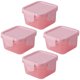 thumbnail image 5 of 4pcs Mini cajas de fresco de mantenimiento de frescos Contenedores de verduras conjuntamente Caja de condimentos, 5 of 5
