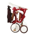 thumbnail image 2 of iimo 3-in-1 Foldable Tricycle with Canopy (Eternity Red), 2 of 12