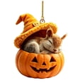 thumbnail image 2 of HonstMatter Pumpkin Hanging Ornament, Sleeping Animal With Witch Hat For Halloween Tree, Cute Shelf And Window Decoration, 2 of 7