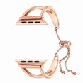 thumbnail image 1 of Bandas de reloj de acero inoxidable compatibles con Apple Watch Series 6/5/4/3/2/1 Se 38 mm 40 mm Estilo de joyería Brazalete clásico Pulsera de repuesto Banda adecuada F ShuxiuWang  8390605095221, 1 of 1