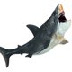 thumbnail image 2 of Muyoka Juguetes de tiburón grande Juguete Megalodon de alta simulación Juguete cognitivo de criatura marina realista Simulación educativa temprana Figura de tiburón Juguete Desarrollo sensorial Juguet Muyoka Hogar, 2 of 7