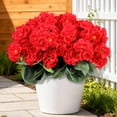 thumbnail image 3 of HKKDKTA 6 Pcs Artificial Geranium Flowers for Outdoor, UV Resistant Fake Silk Geraniums for Planters, Hanging Baskets, Window Boxes, Porch & Patio Decor, 3 of 8