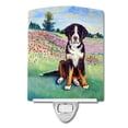 thumbnail image 1 of Carolines Treasures 7011CNL Bernese Mountain Dog Ceramic Night Light, 1 of 1