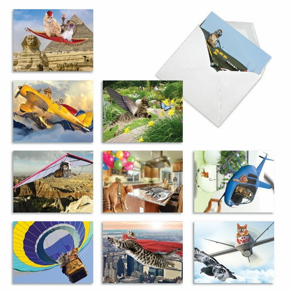 10 All Occasion Blank Note Cards Assorted (4 x 5.12 Inch) - FLYING FELINES