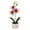🔥 Purple_New#4440, variant on Artificial Phalaenopsis Orchid Plant with PE Petals and Adjustable Stem – Long-Lasting Potted Flower for Home, Wedding, and Office Decor