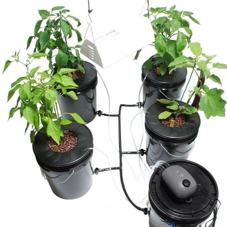 Hydroponic Black Bucket Deep Water and Grow Light Kit (Best Water Chiller For Hydroponics)