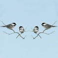 thumbnail image 3 of CafePress - Chickadee Song Bird Infant T Shirt - Infant T-Shirt, 3 of 4