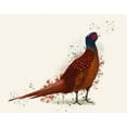 thumbnail image 2 of Fab Funky 14x12 White Modern Wood Framed Museum Art Print Titled - Pheasant Splash 4, 2 of 4