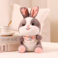 thumbnail image 1 of Animales de peluche Kawaii para niños, conejo que sostiene zanahoria, juguete de peluche suave, muñecos relajantes con dientes grandes, juguetes para niños y niñas, regalo de decoración zhangyuxiang LED, 1 of 2