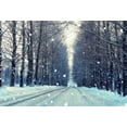 thumbnail image 2 of ABPHOTO Polyester 7x5ft Winter Photography Backdrop Retro Dark Tree Bright Sky Background for Photo White Snow Road Studio Backdrops, 2 of 4