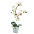 thumbnail image 1 of Bonsái de phalaenopsis con flores falsas, decoración de escritorio, planta pequeña, decoración, simulación de flores artificiales, planta verde, 1 of 5
