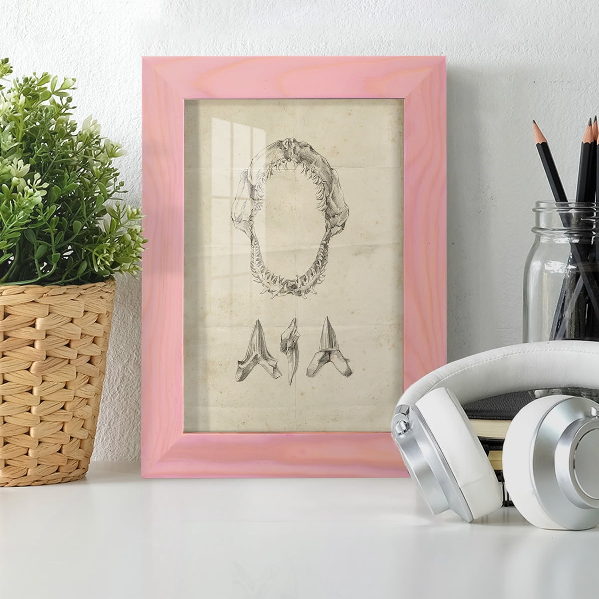 Shark Study I - Framed Print w/glass - Sunset Pink