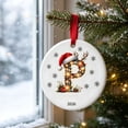 thumbnail image 5 of Fievgin Christmas Ornament 2026, Letter P Initial Decoration with Santa Hat for Tree & Gift, 5 of 7